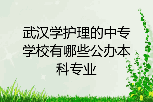 武汉学护理的中专学校有哪些公办本科专业