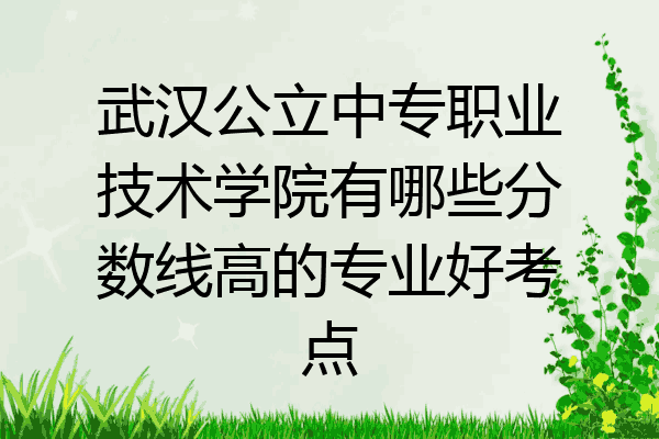 武汉公立中专职业技术学院有哪些分数线高的专业好考点