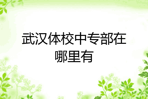 武汉体校中专部在哪里有