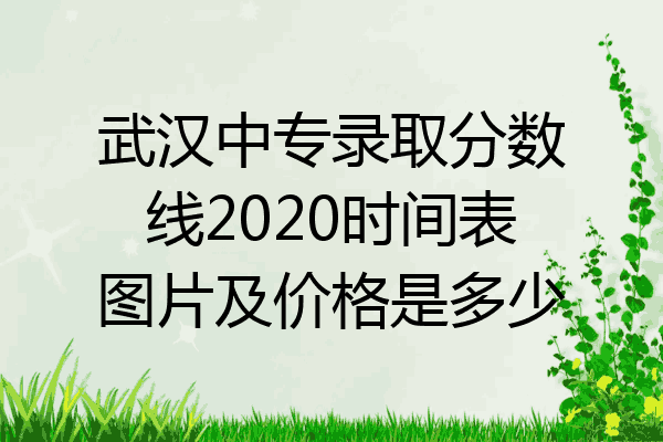 武汉中专录取分数线2020时间表图片及价格是多少