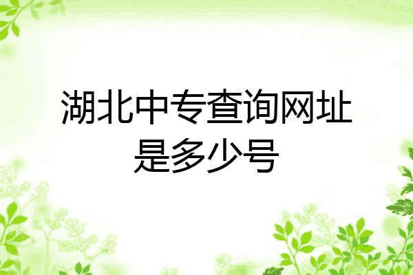 湖北中专查询网址是多少号