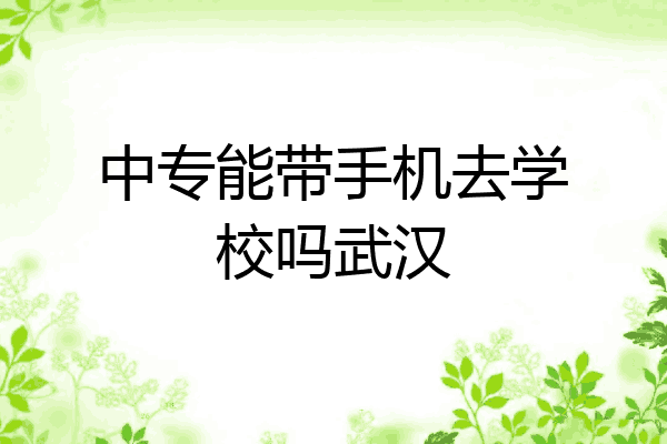 中专能带手机去学校吗武汉