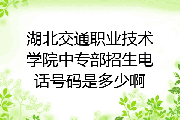 湖北交通职业技术学院中专部招生电话号码是多少啊