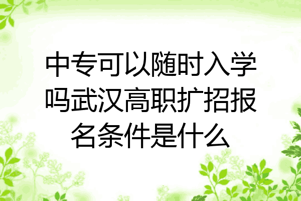 中专可以随时入学吗武汉高职扩招报名条件是什么
