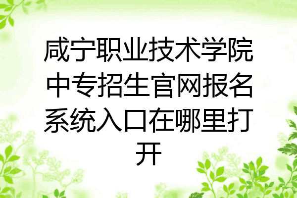 咸宁职业技术学院中专招生官网报名系统入口在哪里打开