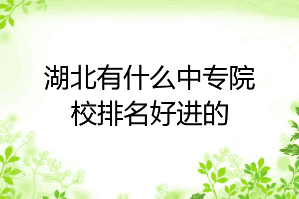 湖北有什么中专院校排名好进的