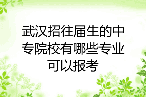 武汉招往届生的中专院校有哪些专业可以报考