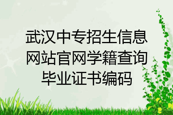 武汉中专招生信息网站官网学籍查询毕业证书编码