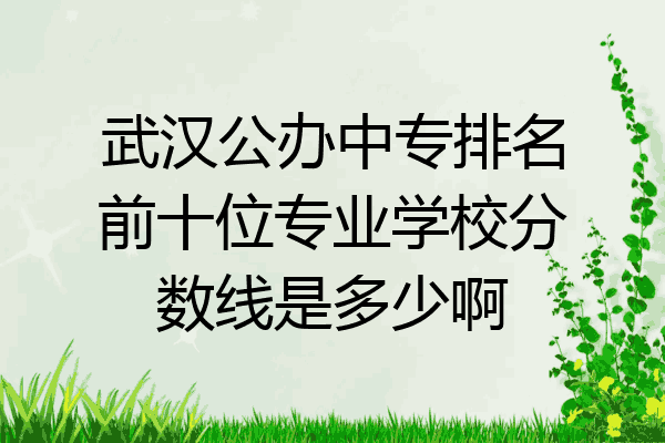 武汉公办中专排名前十位专业学校分数线是多少啊