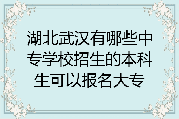 湖北武汉有哪些中专学校招生的本科生可以报名大专