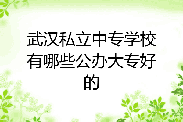 武汉私立中专学校有哪些公办大专好的