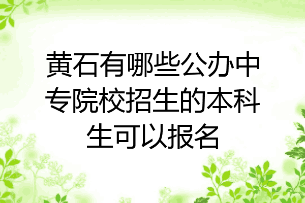 黄石有哪些公办中专院校招生的本科生可以报名