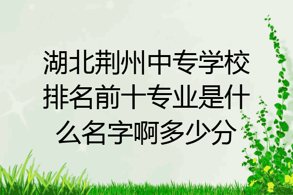 湖北荆州中专学校排名前十专业是什么名字啊多少分