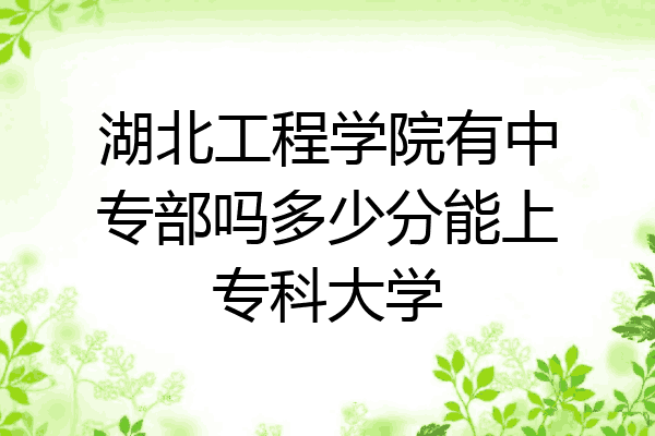 湖北工程学院有中专部吗多少分能上专科大学
