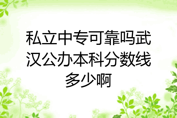 私立中专可靠吗武汉公办本科分数线多少啊
