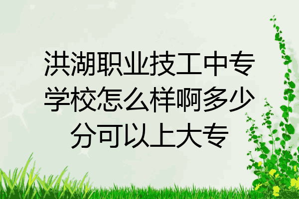 洪湖职业技工中专学校怎么样啊多少分可以上大专