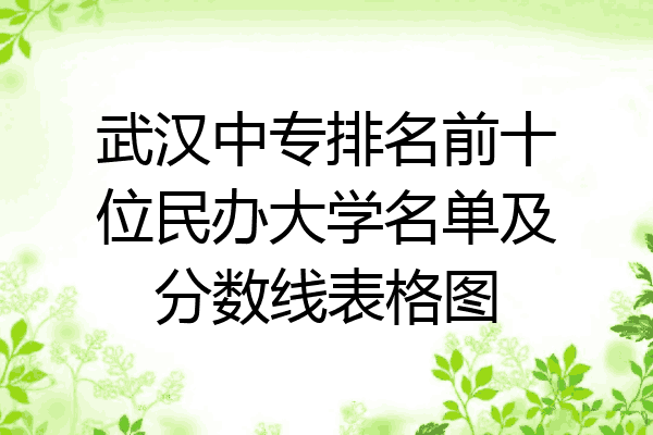 武汉中专排名前十位民办大学名单及分数线表格图