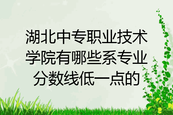 湖北中专职业技术学院有哪些系专业分数线低一点的