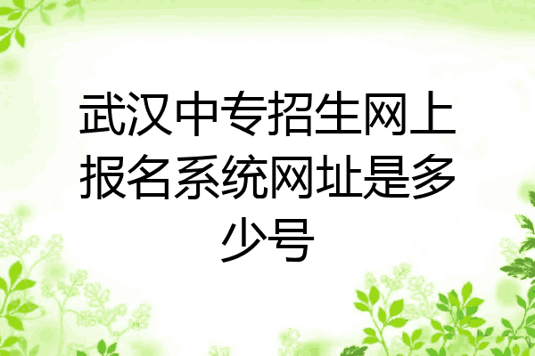 武汉中专招生网上报名系统网址是多少号