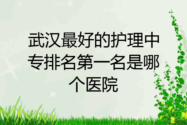 武汉最好的护理中专排名第一名是哪个医院