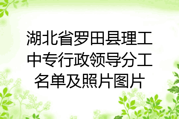 湖北省罗田县理工中专行政领导分工名单及照片图片