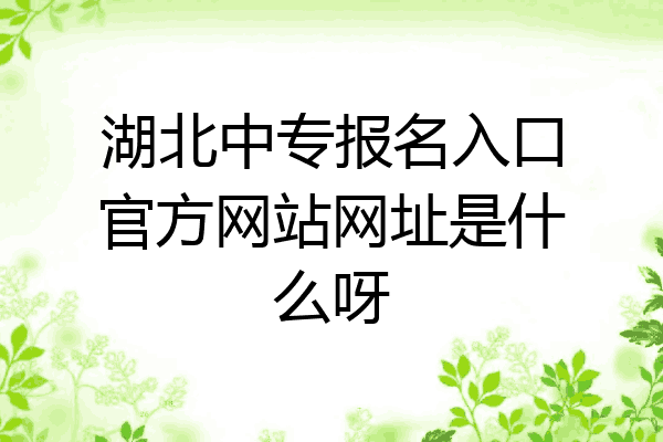 湖北中专报名入口官方网站网址是什么呀