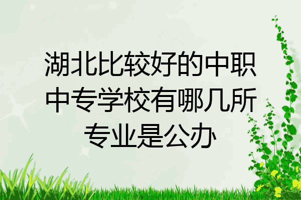 湖北比较好的中职中专学校有哪几所专业是公办