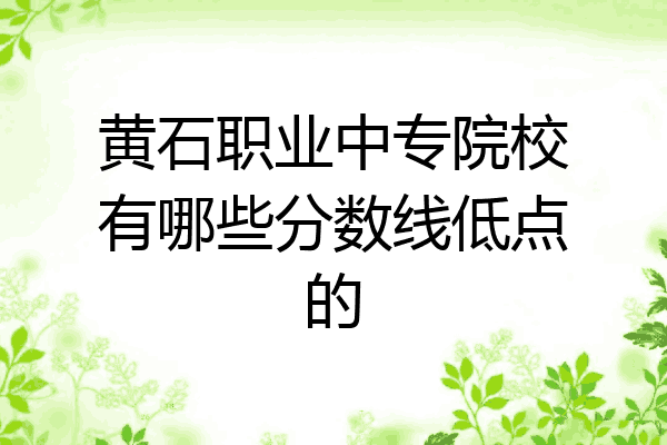 黄石职业中专院校有哪些分数线低点的