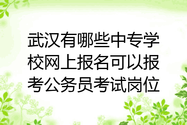 武汉有哪些中专学校网上报名可以报考公务员考试岗位