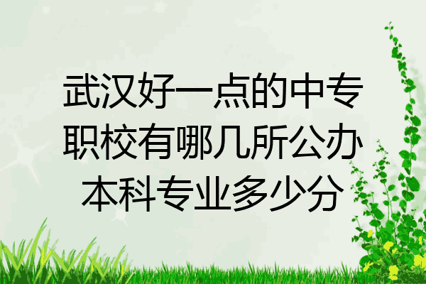 武汉好一点的中专职校有哪几所公办本科专业多少分