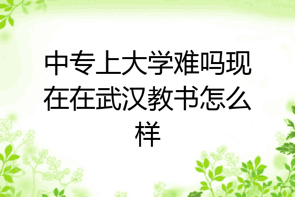 中专上大学难吗现在在武汉教书怎么样