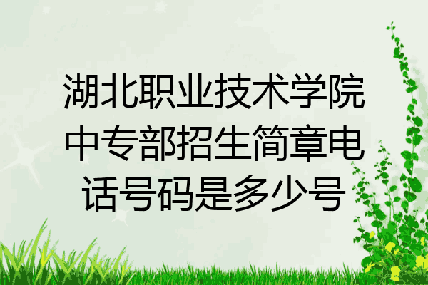 湖北职业技术学院中专部招生简章电话号码是多少号
