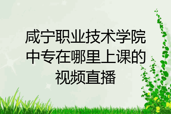 咸宁职业技术学院中专在哪里上课的视频直播
