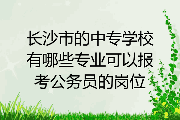 长沙市的中专学校有哪些专业可以报考公务员的岗位