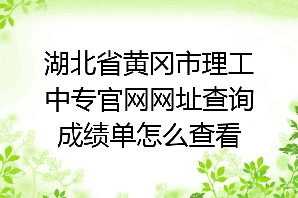 湖北省黄冈市理工中专官网网址查询成绩单怎么查看