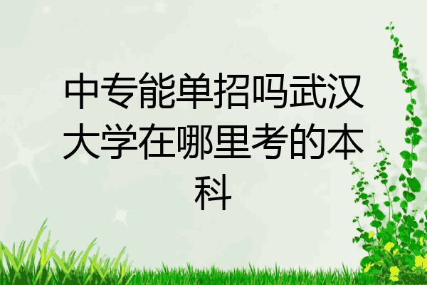 中专能单招吗武汉大学在哪里考的本科
