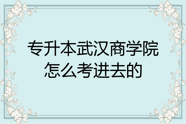 专升本武汉商学院怎么考进去的