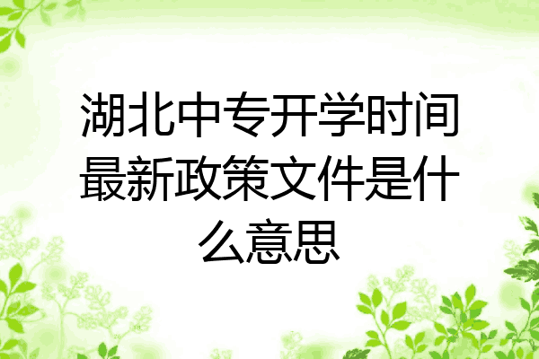 湖北中专开学时间最新政策文件是什么意思