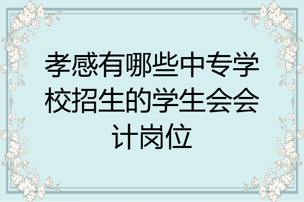 孝感有哪些中专学校招生的学生会会计岗位