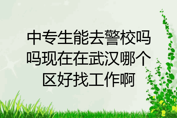 中专生能去警校吗吗现在在武汉哪个区好找工作啊
