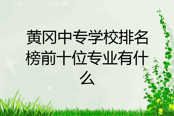 黄冈中专学校排名榜前十位专业有什么