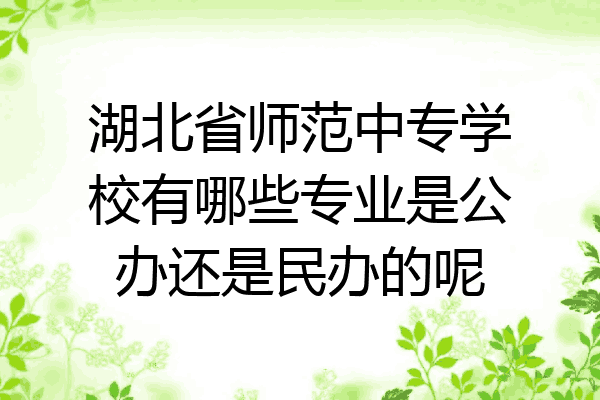 湖北省师范中专学校有哪些专业是公办还是民办的呢