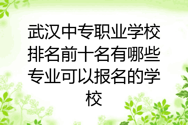 武汉中专职业学校排名前十名有哪些专业可以报名的学校