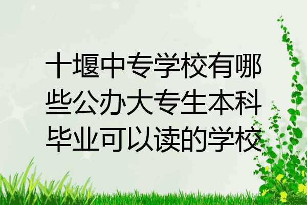 十堰中专学校有哪些公办大专生本科毕业可以读的学校