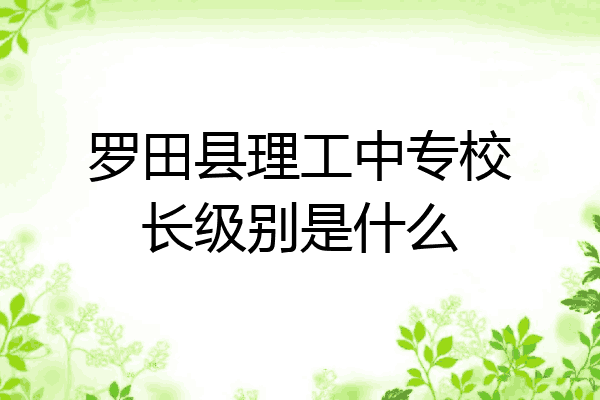 罗田县理工中专校长级别是什么