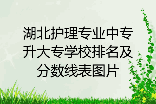 湖北护理专业中专升大专学校排名及分数线表图片