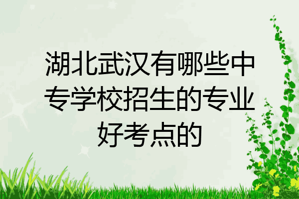 湖北武汉有哪些中专学校招生的专业好考点的