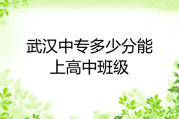 武汉中专多少分能上高中班级