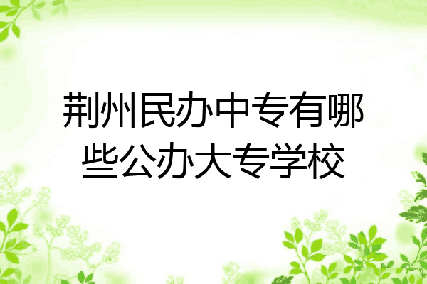 荆州民办中专有哪些公办大专学校