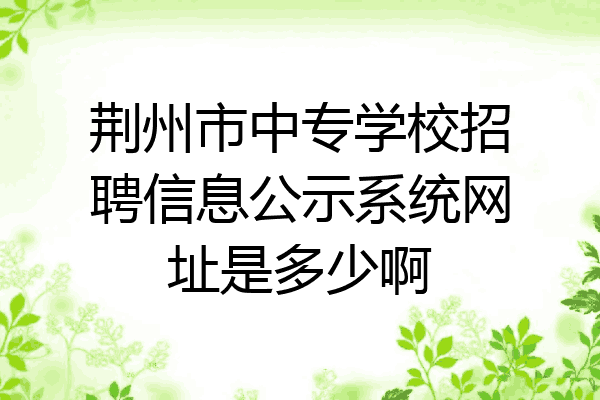 荆州市中专学校招聘信息公示系统网址是多少啊